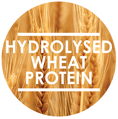Hydrolysed Wheat Protein